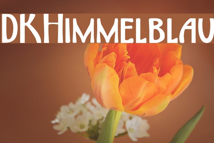 DKHimmelblau Font examples