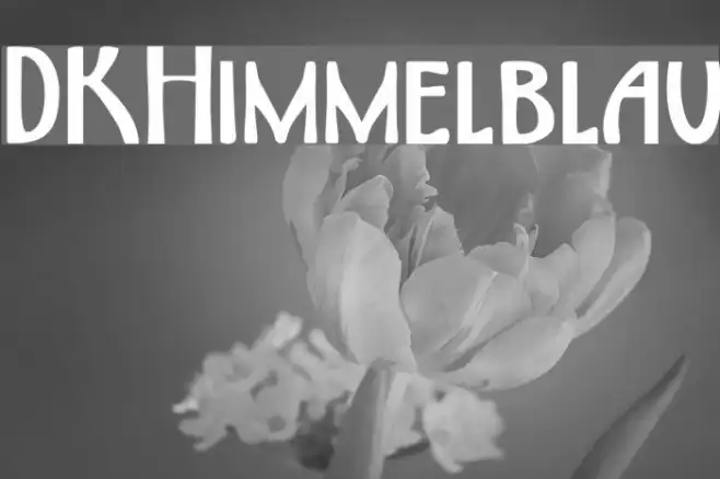DKHimmelblau Example 1