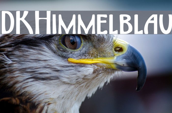 DKHimmelblau Font examples