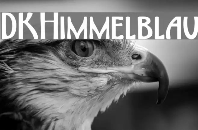DKHimmelblau Example 2