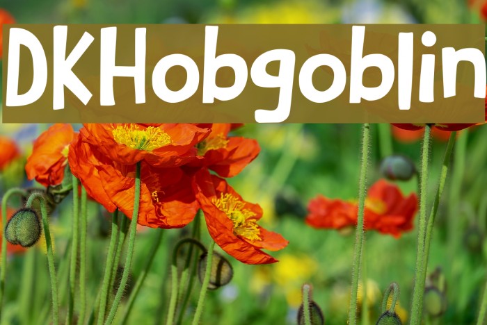 DKHobgoblin Example 2