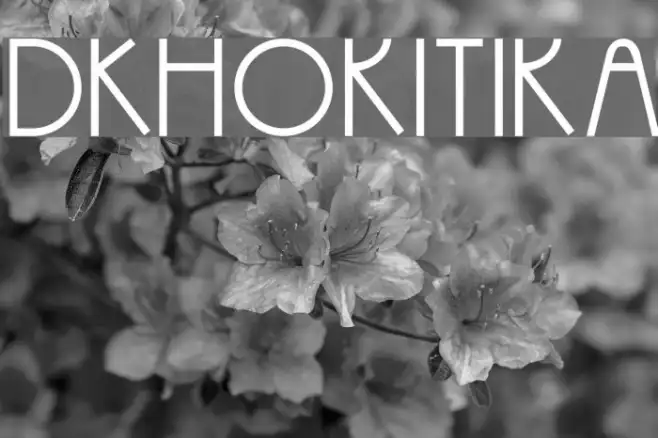 DKHokitika Example 3