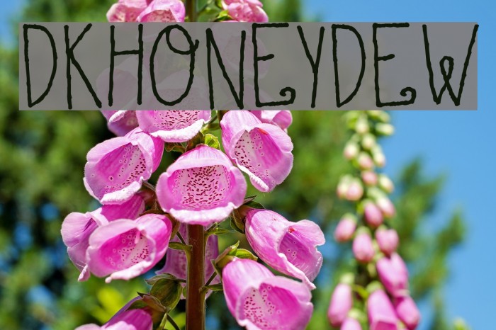 DKHoneyDew Font examples