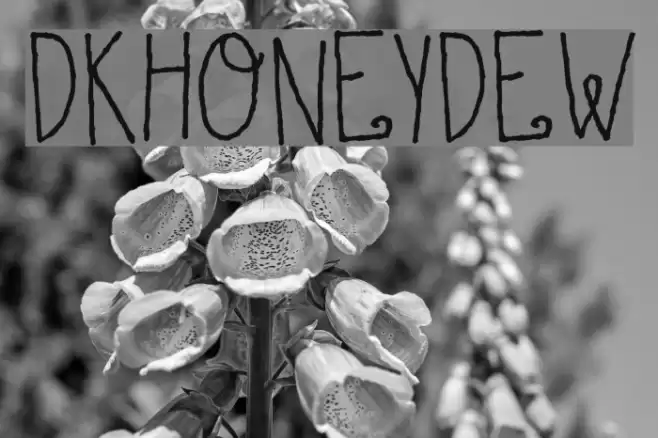 DKHoneyDew Font examples