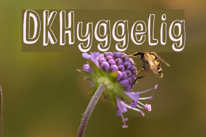 DKHyggelig Example 2