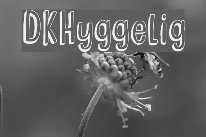 DKHyggelig Font examples