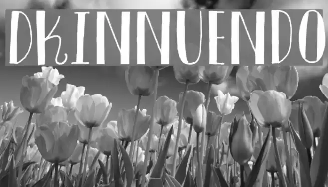 DKInnuendo Font examples