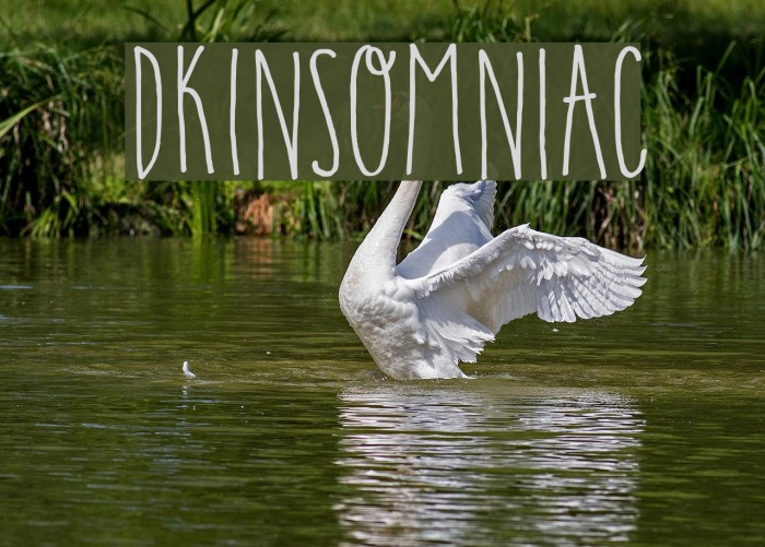 DKInsomniac Caratteri examples