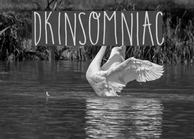 DKInsomniac Caratteri examples