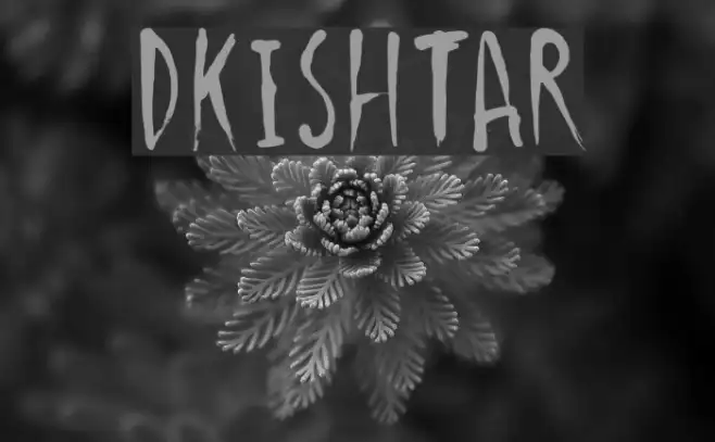 DKIshtar Example 2