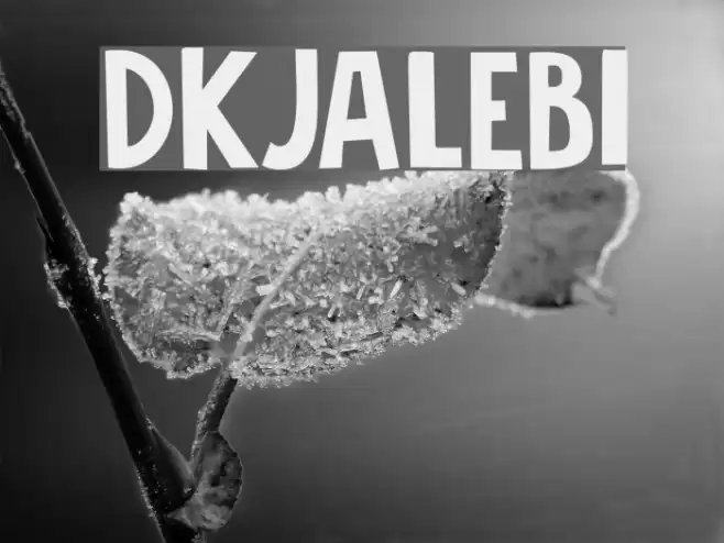 DKJalebi Font examples