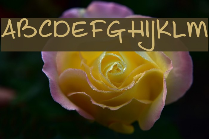 DKJoeSchmoe Font examples