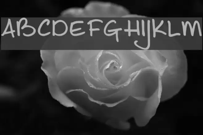 DKJoeSchmoe Example 1