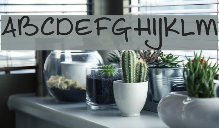 DKJoeSchmoe Font examples