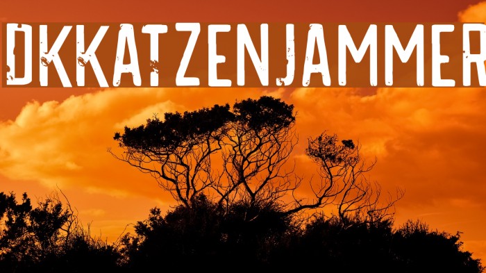 DKKatzenjammer Example 1