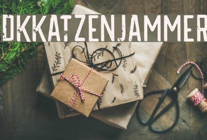 DKKatzenjammer Example 3