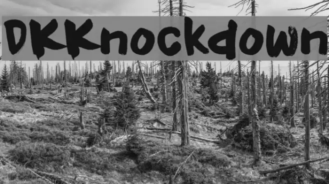 DKKnockdown Font examples