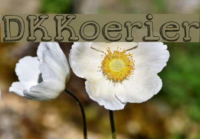DKKoerier Font examples