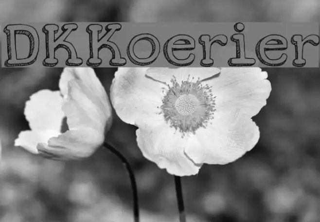 DKKoerier Example 1