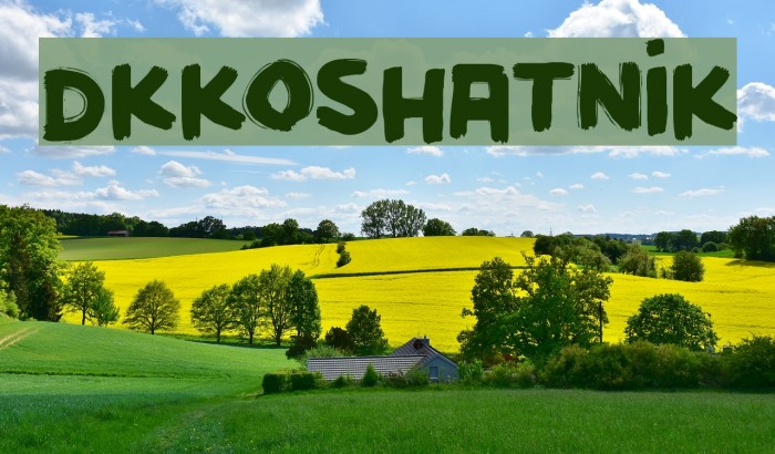 DKKoshatnik Example 3