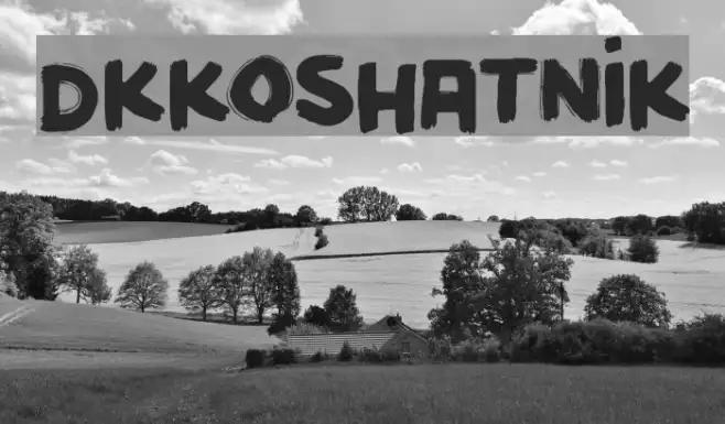 DKKoshatnik Example 3