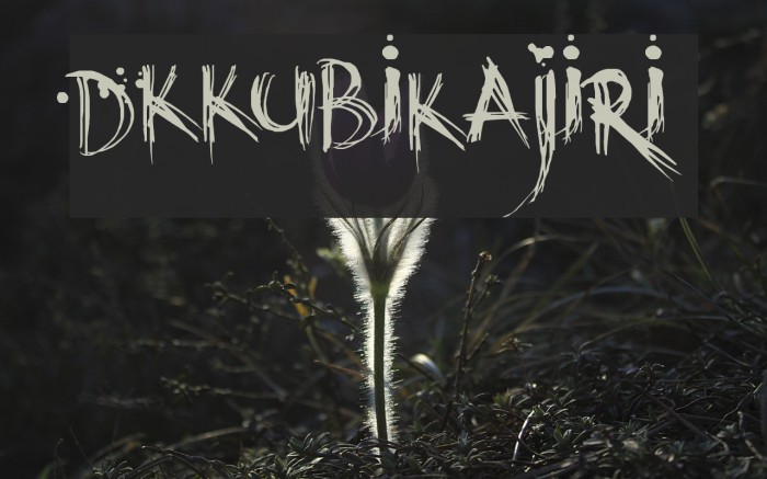 DKKubikajiri Example 2