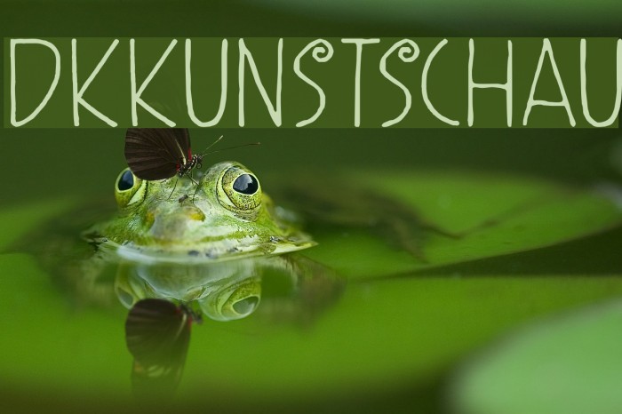 DKKunstschau لخطوط تنزيل examples