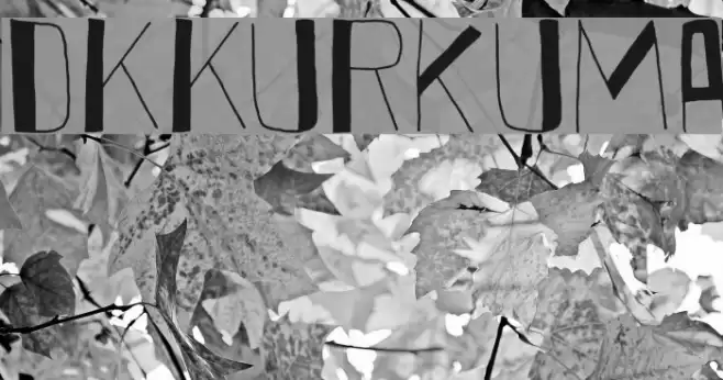 DKKurkuma Font examples