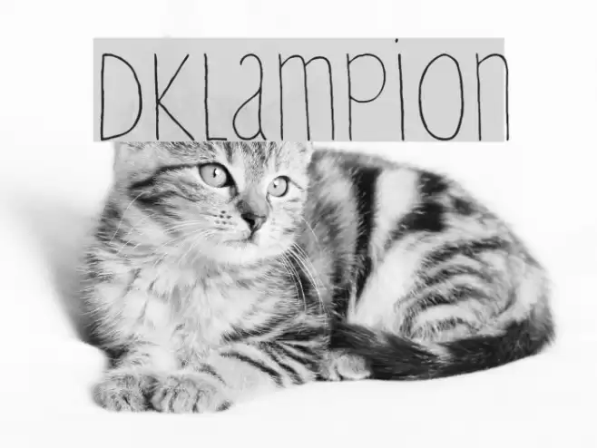 DKLampion Font examples