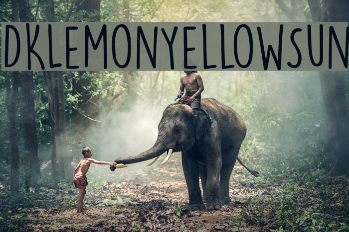 DKLemonYellowSun Font examples