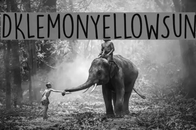 DKLemonYellowSun Example 1
