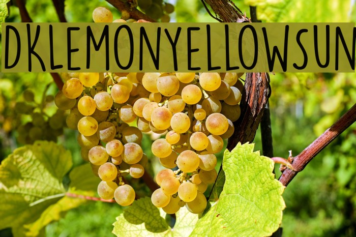 DKLemonYellowSun Font examples