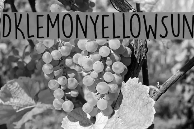 DKLemonYellowSun Example 2