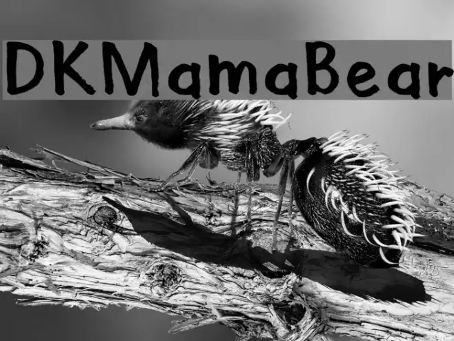 DKMamaBear Example 2
