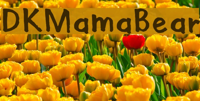 DKMamaBear Example 3