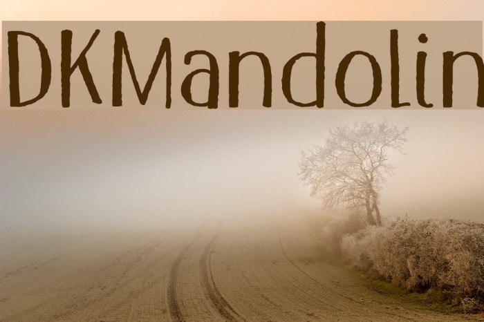 DKMandolin Font examples