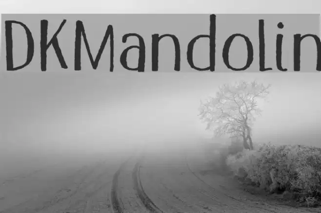 DKMandolin Example 2