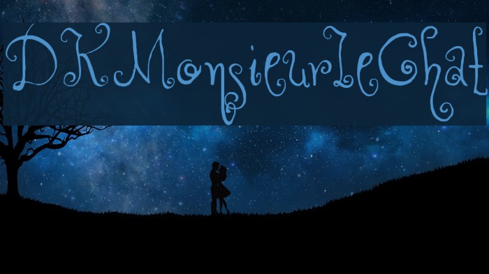 DKMonsieurLeChat Example 3