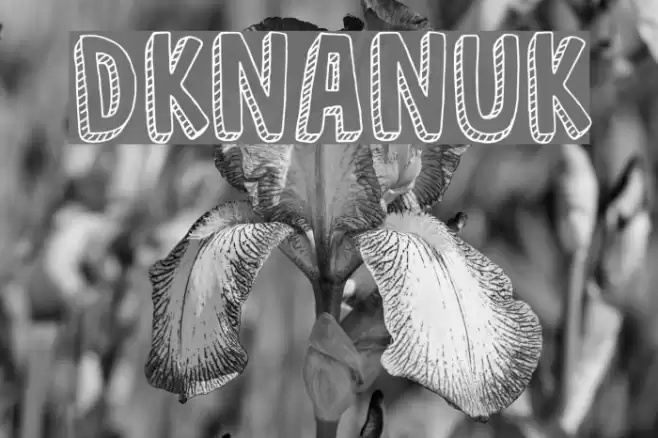 DKNanuk Font examples