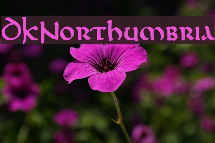 DKNorthumbria Example 1