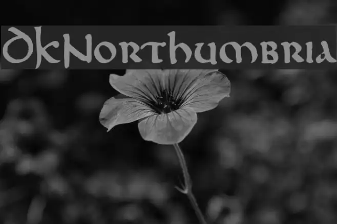 DKNorthumbria Example 1