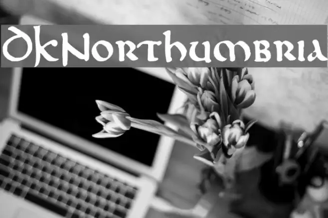 DKNorthumbria Example 3