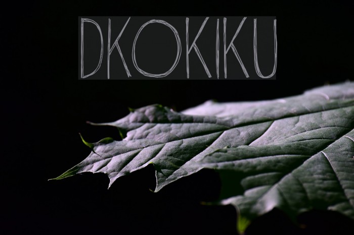 DKOkiku Font examples