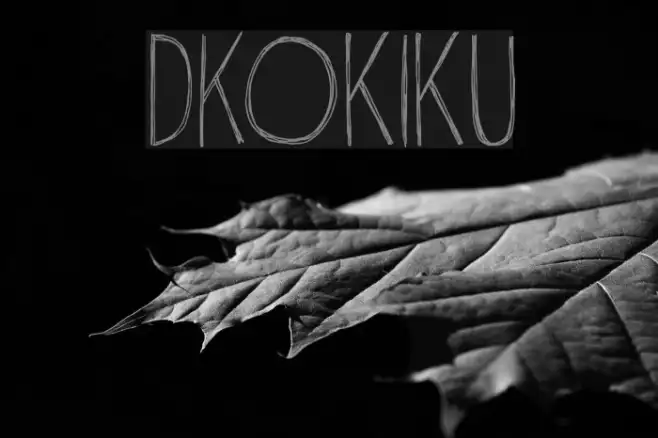 DKOkiku Example 3