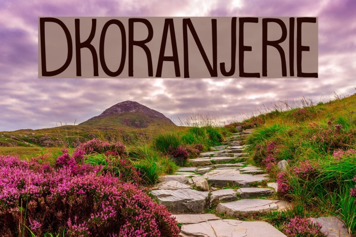 DKOranjerie Font examples
