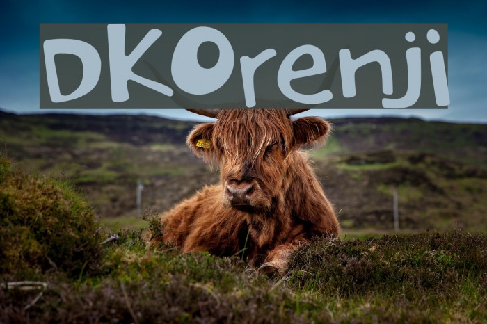 DKOrenji Font examples