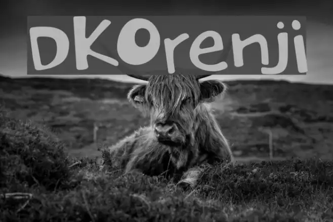DKOrenji Example 2