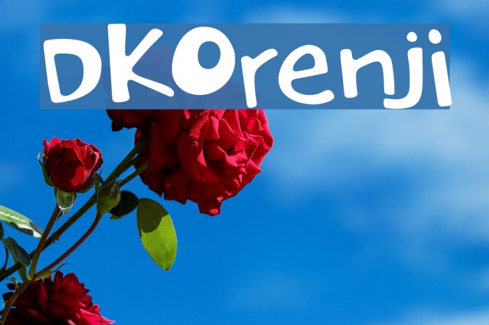 DKOrenji Font examples