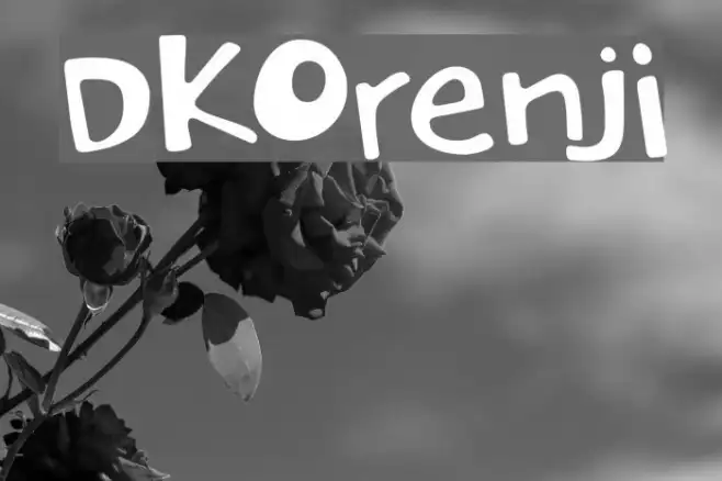DKOrenji Example 3