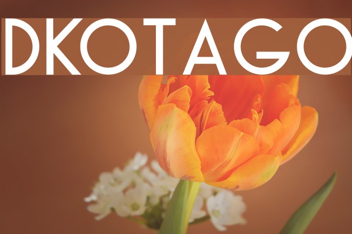 DKOtago Font examples